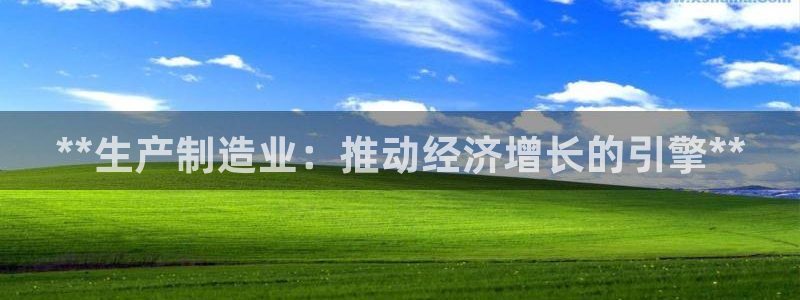 彩神xapp官方网站：**生产制造业：推动经济增长的引擎**