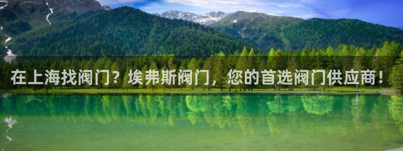 彩神ix是真的吗：在上海找阀门？埃弗斯阀门，您的首选阀门供应商！