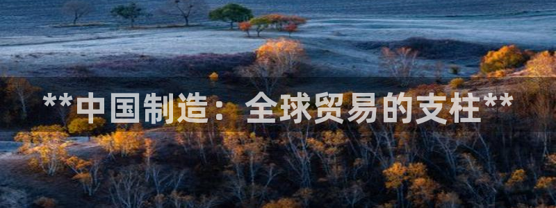 彩神v8手机客户端下载：**中国制造：全球贸易的支柱**