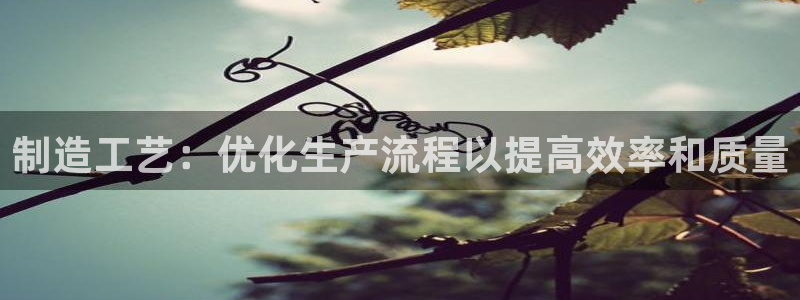 彩神是怎样一个平台：制造工艺：优化生产流程以提高效率和质量