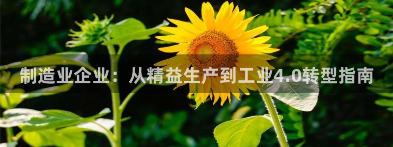 彩神Vll购彩大厅：制造业企业：从精益生产到工业4.0转型指南