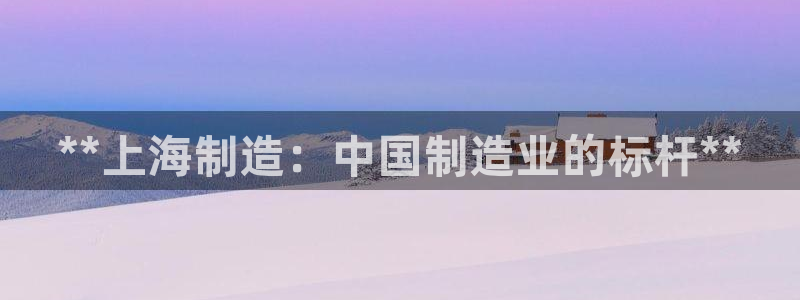 彩神用户登录：**上海制造：中国制造业的标杆**