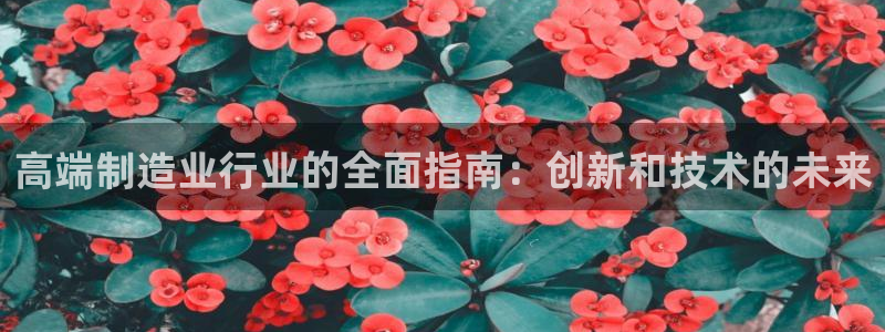 彩神通关注码金码对应码：高端制造业行业的全面指南：创新和技术的未来