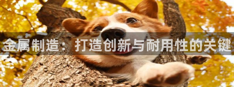 彩神可以提现吗：金属制造：打造创新与耐用性的关键