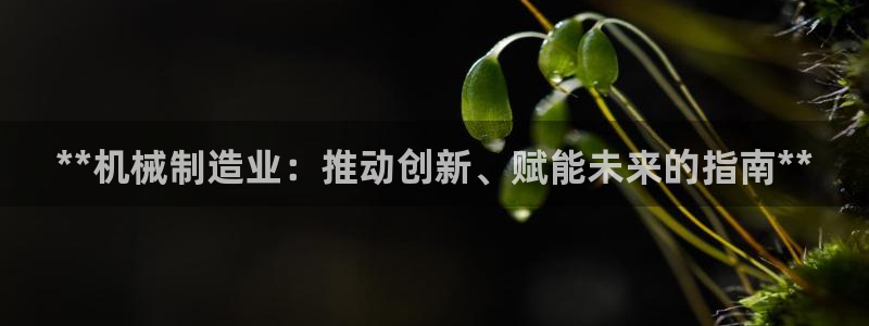 彩神平台之间是什么关系：**机械制造业：推动创新、赋能未来的