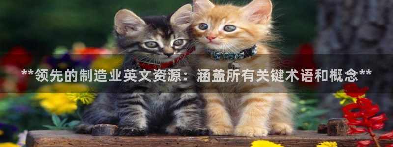 彩神v8是真的挣钱吗安全吗：**领先的制造业英文资源：涵盖所有关键术语和概念**