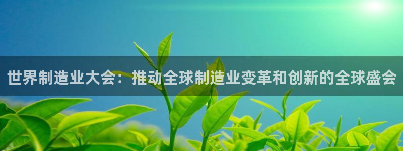 彩神viii是正规平台吗?：世界制造业大会：推动全球制造业变革和创新的全球盛会