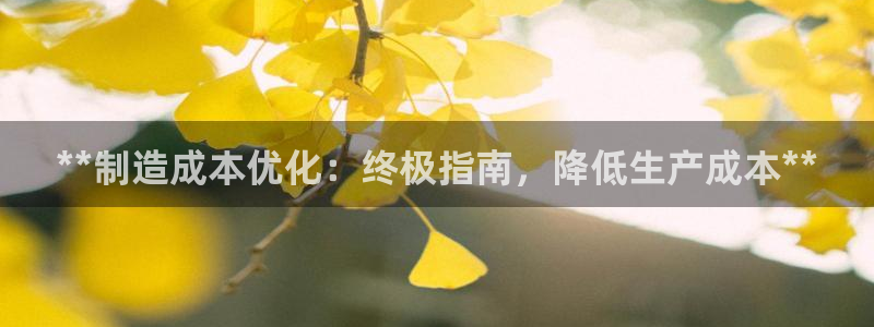 彩神VII官方版：**制造成本优化：终极指南，降低生产成本**