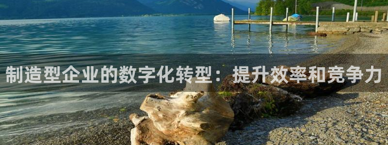 在彩神网输了六万多怎么拿回来：制造型企业的数字化转型：提升效率和竞争力