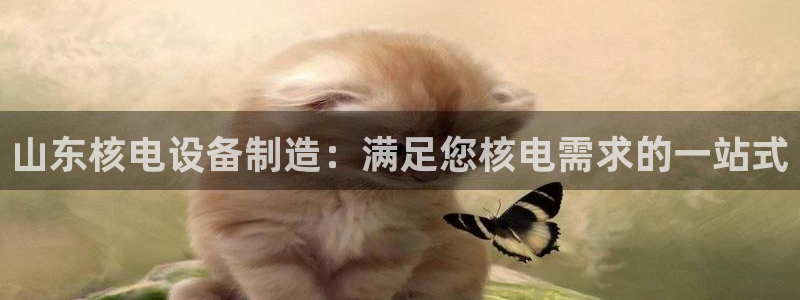 彩神平台之间是什么关系：山东核电设备制造：满足您核电需求的一站式