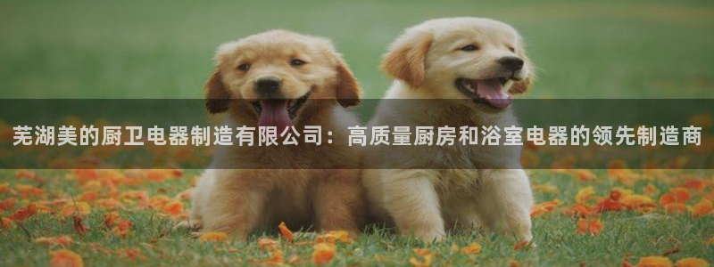 彩神v天天：芜湖美的厨卫电器制造有限公司：高质量厨房和浴室电器的领先制造商