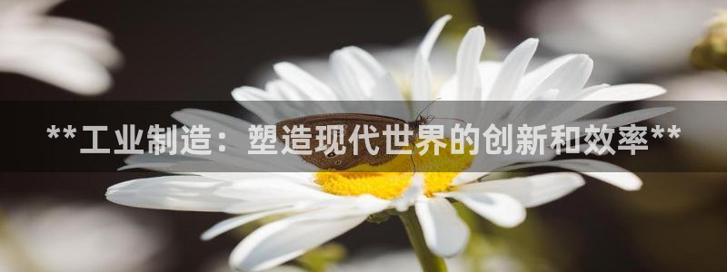 彩神输的钱是赌博还是诈骗：**工业制造：塑造现代世界的创新和效率**