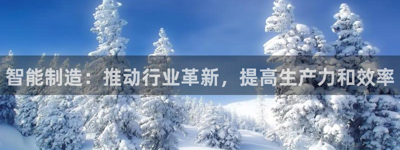 彩神v8下载app5.0：智能制造：推动行业革新，提高生产力