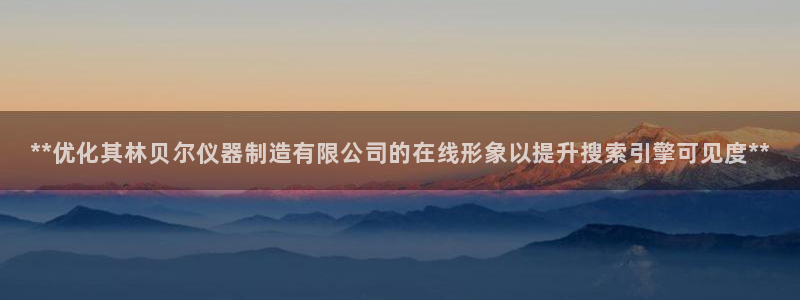 下载彩神乐发V：**优化其林贝尔仪器制造有限公司的在线形象以提升搜索引擎可见度**