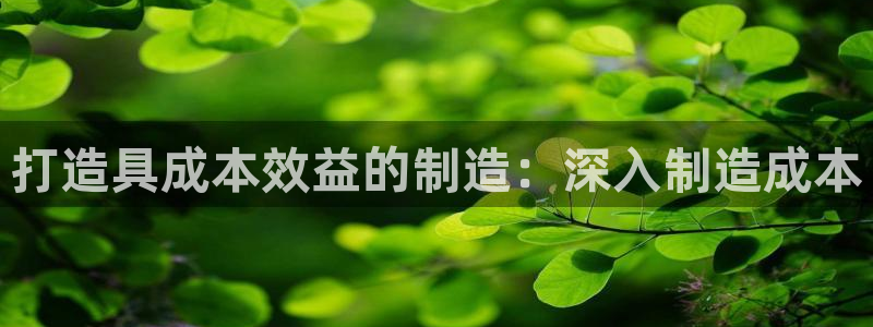 彩神大发是不是人为操作：打造具成本效益的制造：深入制造成本