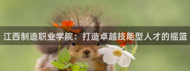 彩神v8是一个什么平台：江西制造职业学院：打造卓越技能型人才的摇篮