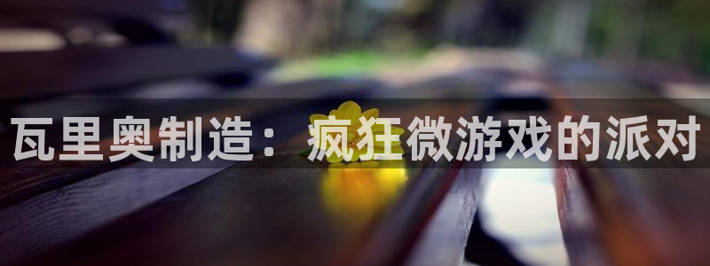 彩神vip购彩大厅下载：瓦里奥制造：疯狂微游戏的派对
