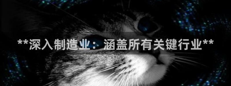 彩神v争霸是啥：**深入制造业：涵盖所有关键行业**