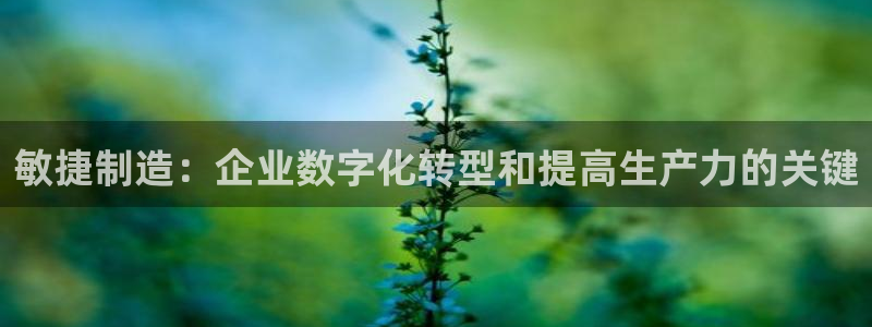 彩神大发官网：敏捷制造：企业数字化转型和提高生产力的关键