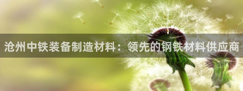 彩神vlll游戏特色：沧州中铁装备制造材料：领先的钢铁材料供