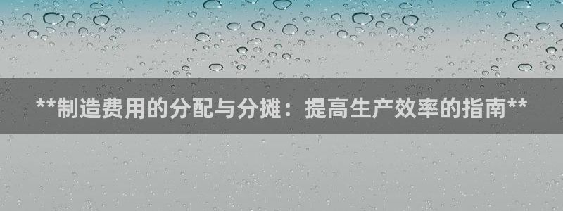 彩神ⅴll用户登录：**制造费用的分配与分摊：提高生产效率的指南**