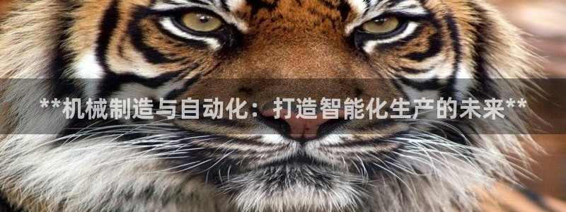 彩神v8是真的挣钱吗知乎：**机械制造与自动化：打造智能化生产的未来**