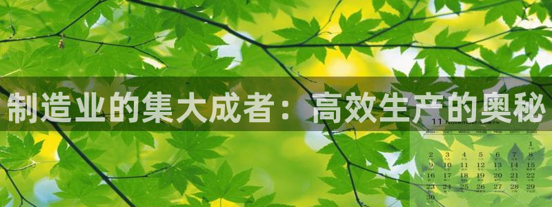 彩神v8首页：制造业的集大成者：高效生产的奥秘