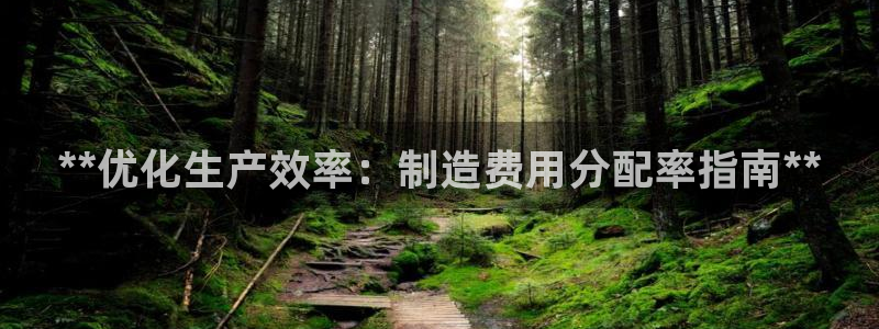 新版彩神v8登录不上去：**优化生产效率：制造费用分配率指南**
