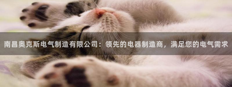 天天彩神welcome：南昌奥克斯电气制造有限公司：领先的电器制造商，满足您的电气需求