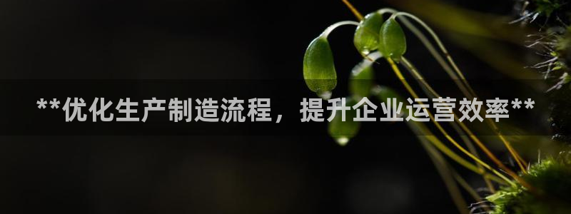 在彩神网输了六万多怎么拿回来
