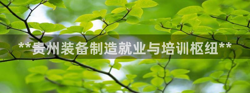 彩神v1官网：**贵州装备制造就业与培训枢纽**