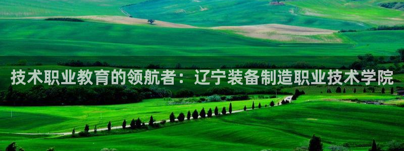 彩神VI首页：技术职业教育的领航者：辽宁装备制造职业技术学院