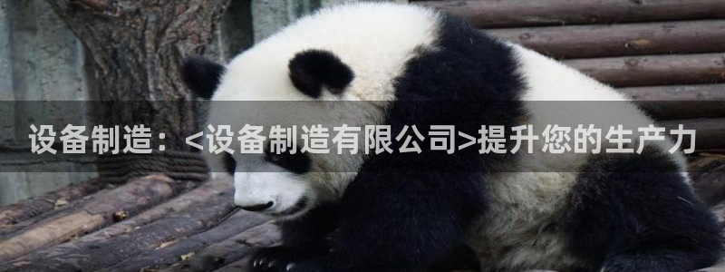 彩神ix是真的吗：设备制造：<设备制造有限公司>提升您的生产力
