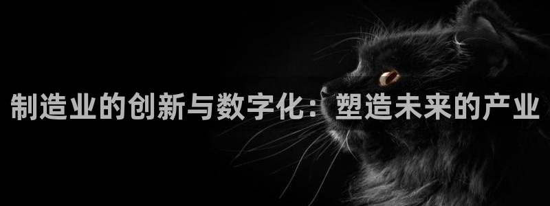彩神v破解版：制造业的创新与数字化：塑造未来的产业