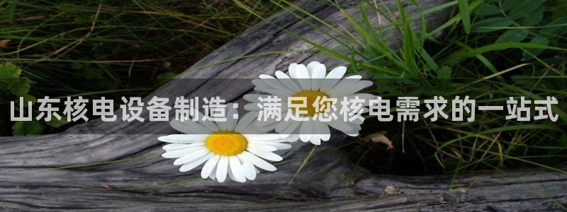 彩神ix是真的吗：山东核电设备制造：满足您核电需求的一站式