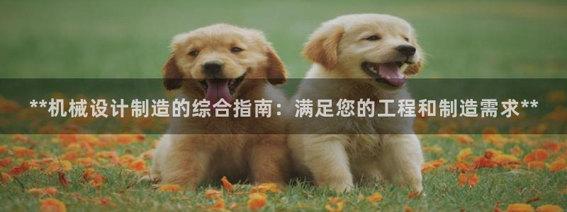 天天赢彩神：**机械设计制造的综合指南：满足您的工程和制造需求**