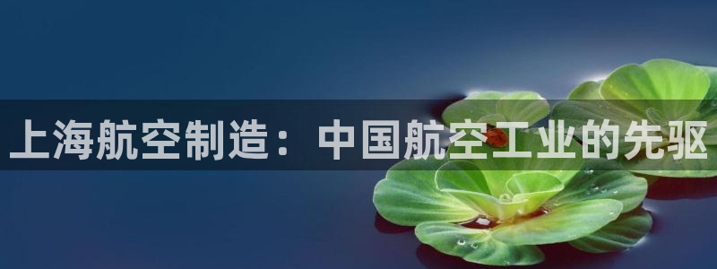 彩神v8首页：上海航空制造：中国航空工业的先驱
