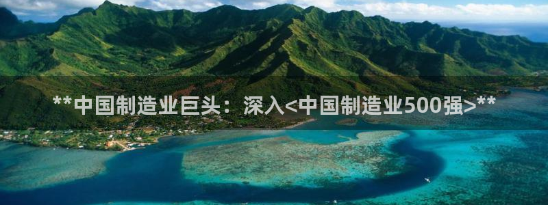 彩神这个平台是真的吗：**中国制造业巨头：深入<中国制造业500强>**