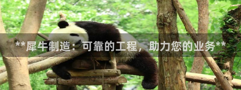 彩神平台是什么套路：**犀牛制造：可靠的工程，助力您的业务**