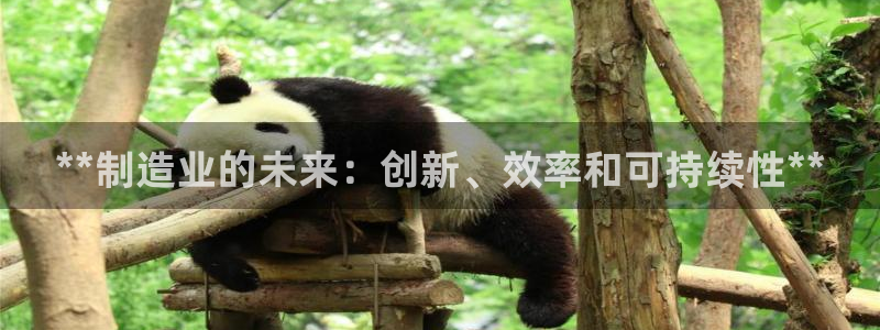 彩神vlll游戏特色：**制造业的未来：创新、效率和可持续性