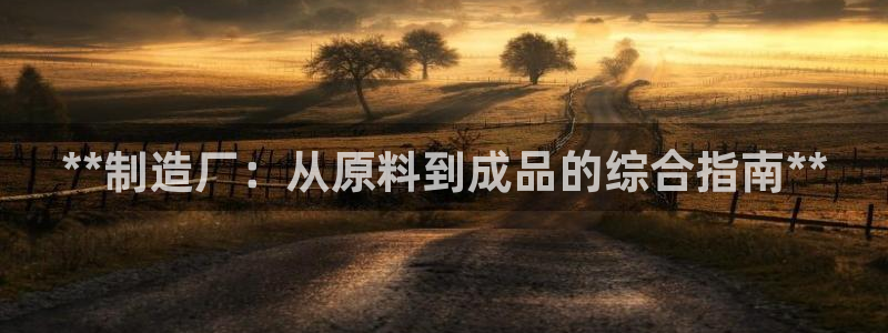彩神官方登录：**制造厂：从原料到成品的综合指南**