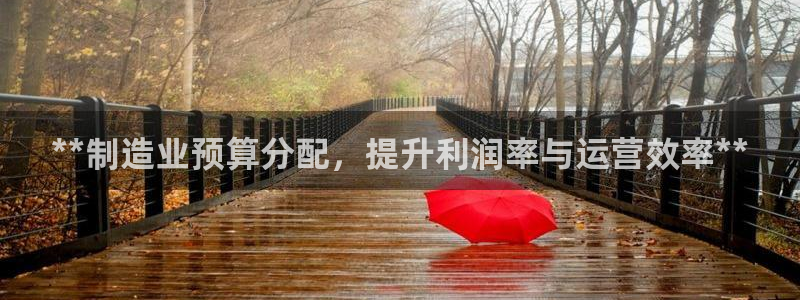 彩神旗下有哪些平台：**制造业预算分配，提升利润率与运营效率**
