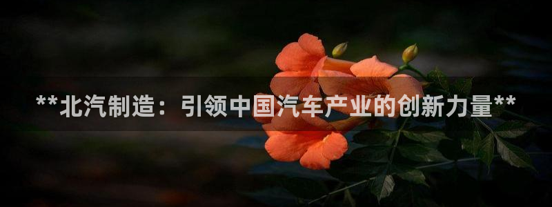 v大发彩神8iii：**北汽制造：引领中国汽车产业的创新力量**