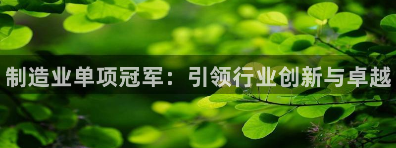 彩神数码科技有限公司：制造业单项冠军：引领行业创新与卓越