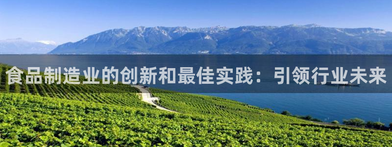 彩神app能挣到钱吗：食品制造业的创新和最佳实践：引领行业未来