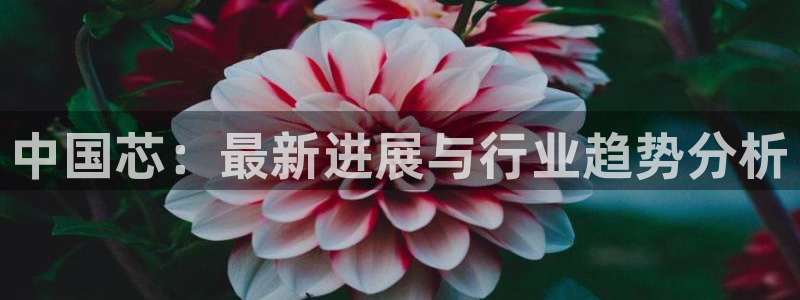 彩神iv争霸购彩大厅：中国芯：最新进展与行业趋势分析