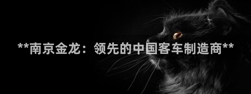 下载彩神乐发V1：**南京金龙：领先的中国客车制造商**