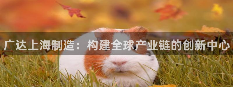 彩神平台：广达上海制造：构建全球产业链的创新中心