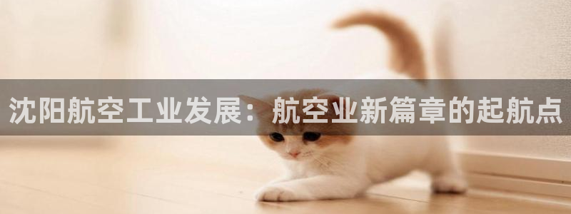 彩神v秘聊号码：沈阳航空工业发展：航空业新篇章的起航点