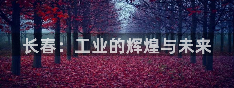 彩神v|：长春：工业的辉煌与未来
